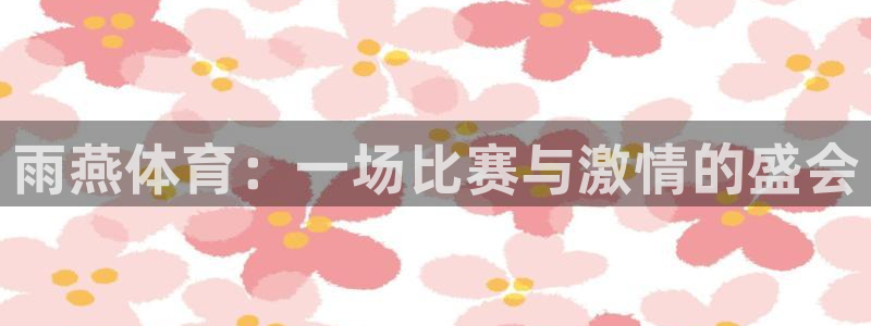 雨燕体育：一场比赛与激情的盛会