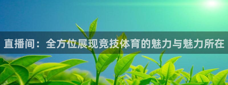 直播间：全方位展现竞技体育的魅力与魅力所在