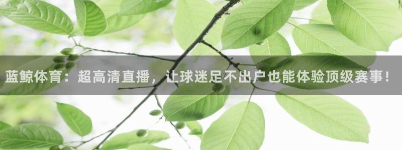 蓝鲸体育：超高清直播，让球迷足不出户也能体验顶级赛事！