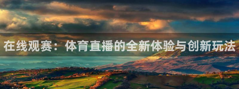 在线观赛：体育直播的全新体验与创新玩法