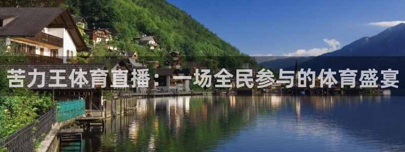苦力王体育直播：一场全民参与的体育盛宴