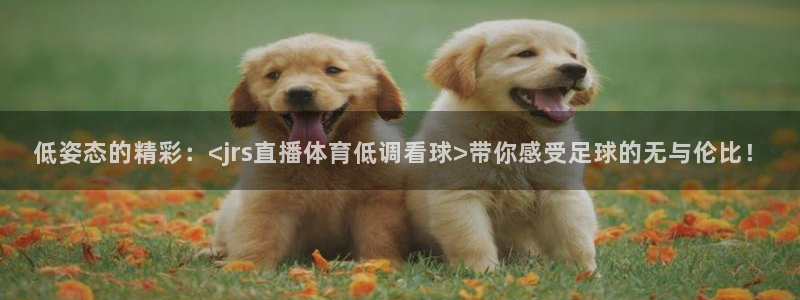 低姿态的精彩：<jrs直播体育低调看球>带你感受足球的无与伦比！