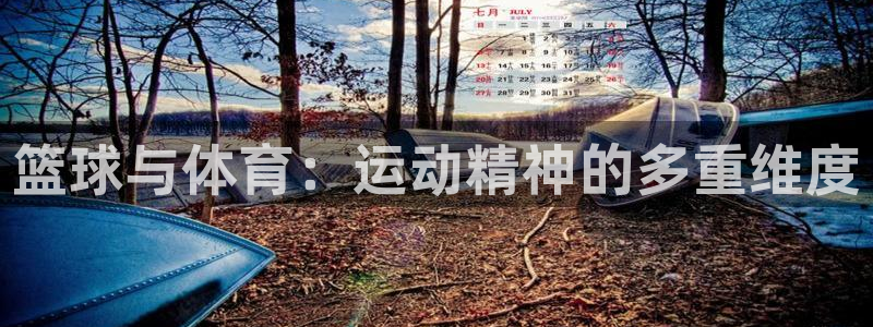 篮球与体育：运动精神的多重维度