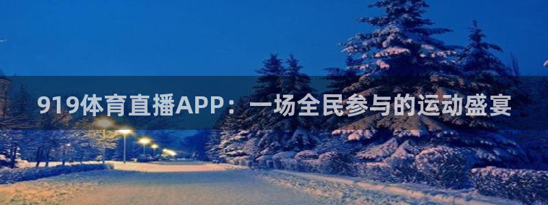 919体育直播APP：一场全民参与的运动盛宴