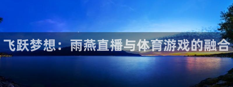 飞跃梦想：雨燕直播与体育游戏的融合