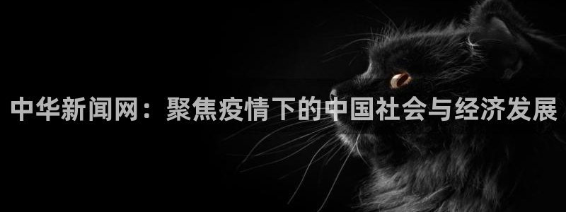 中华新闻网：聚焦疫情下的中国社会与经济发展