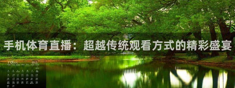 手机体育直播：超越传统观看方式的精彩盛宴