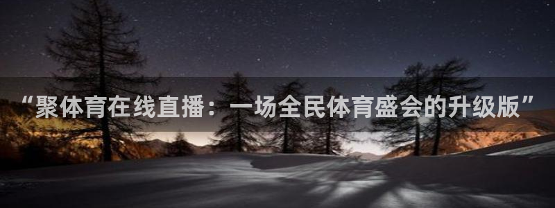 “聚体育在线直播：一场全民体育盛会的升级版”