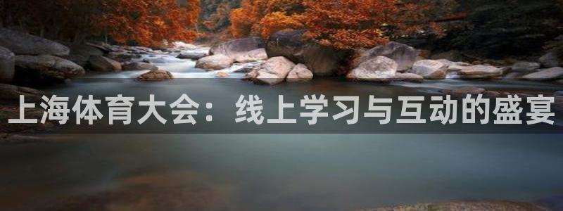 上海体育大会：线上学习与互动的盛宴