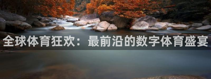 全球体育狂欢：最前沿的数字体育盛宴