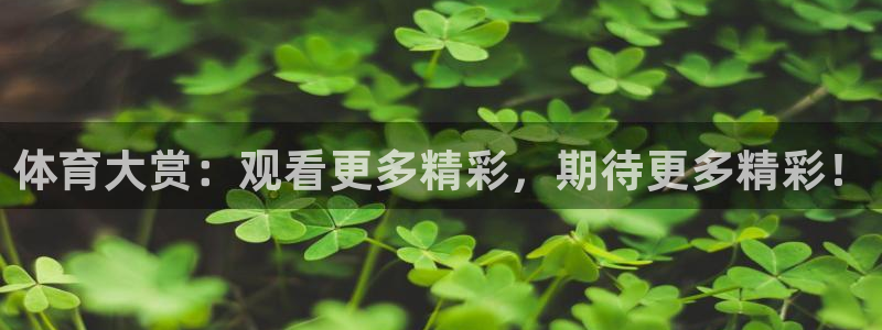 体育大赏：观看更多精彩，期待更多精彩！