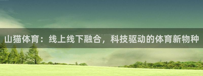 山猫体育：线上线下融合，科技驱动的体育新物种