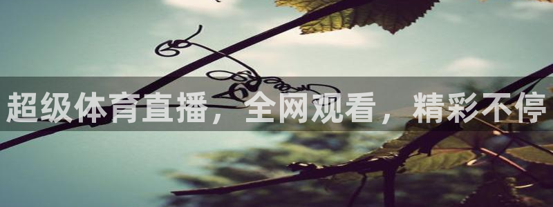 超级体育直播，全网观看，精彩不停