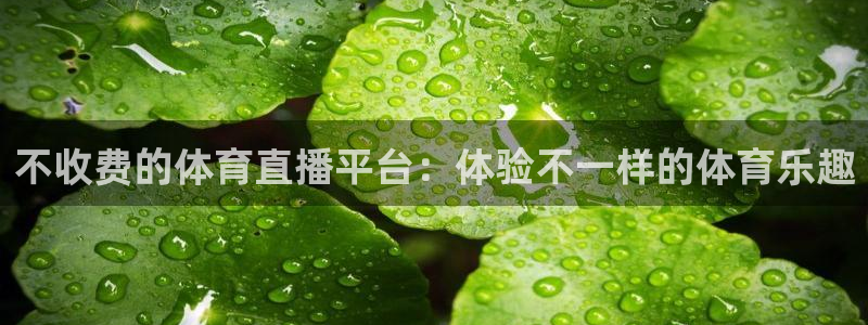 不收费的体育直播平台：体验不一样的体育乐趣
