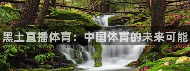 黑土直播体育：中国体育的未来可能