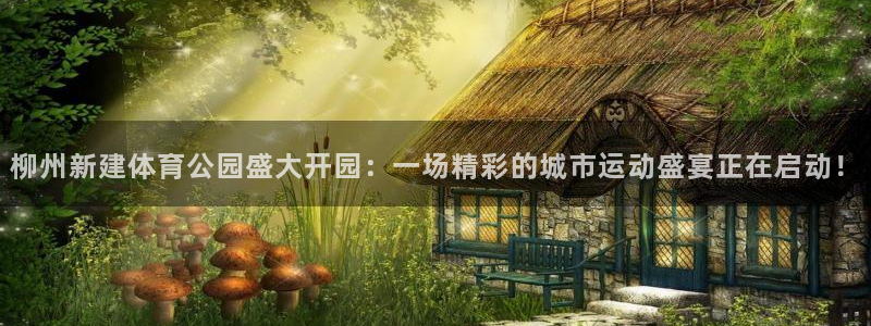 柳州新建体育公园盛大开园：一场精彩的城市运动盛宴正在启动！