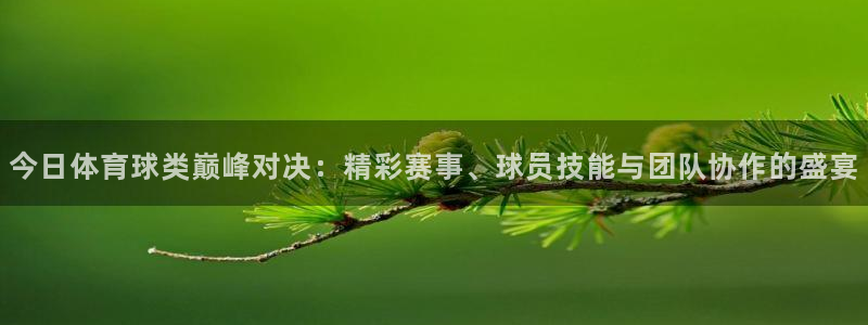 今日体育球类巅峰对决：精彩赛事、球员技能与团队协作的盛宴