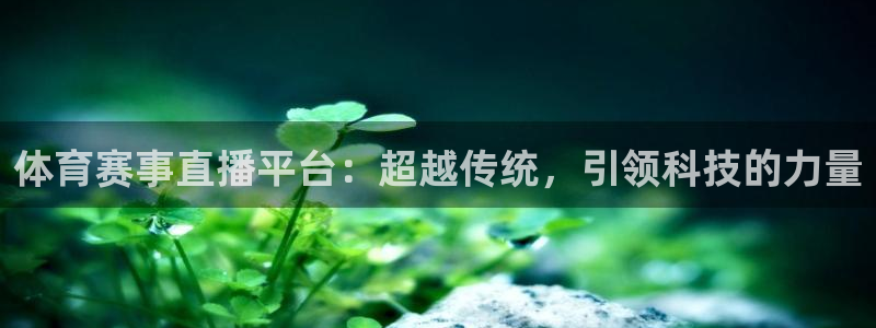 体育赛事直播平台：超越传统，引领科技的力量