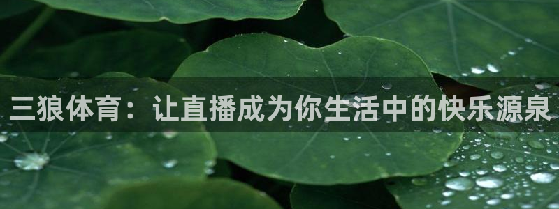 三狼体育：让直播成为你生活中的快乐源泉