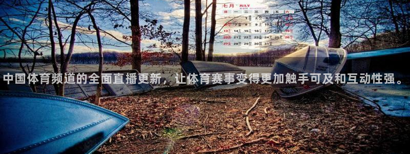 中国体育频道的全面直播更新，让体育赛事变得更加触手可及和互动性强。