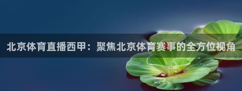 北京体育直播西甲：聚焦北京体育赛事的全方位视角