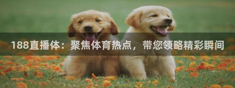 188直播体：聚焦体育热点，带您领略精彩瞬间