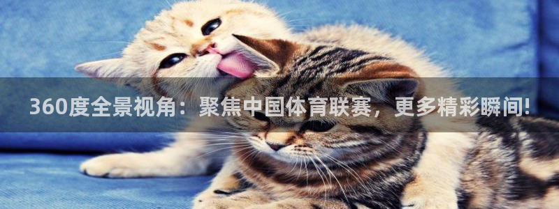 360度全景视角：聚焦中国体育联赛，更多精彩瞬间!