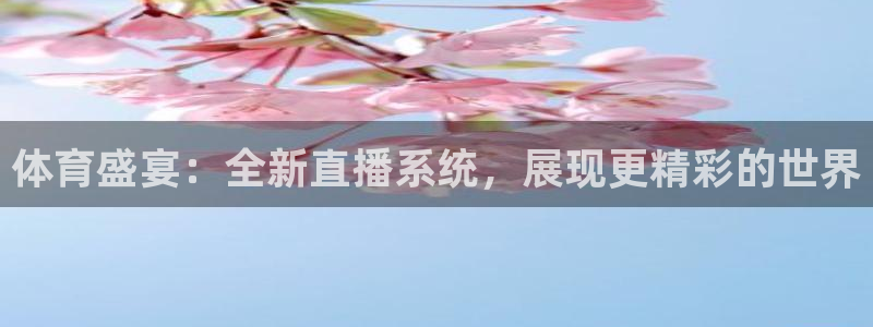 体育盛宴：全新直播系统，展现更精彩的世界
