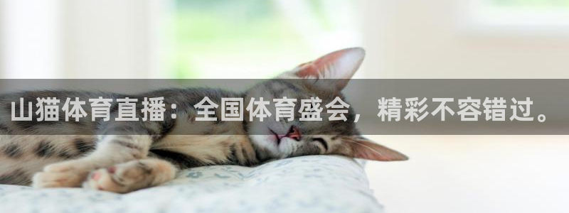 山猫体育直播：全国体育盛会，精彩不容错过。