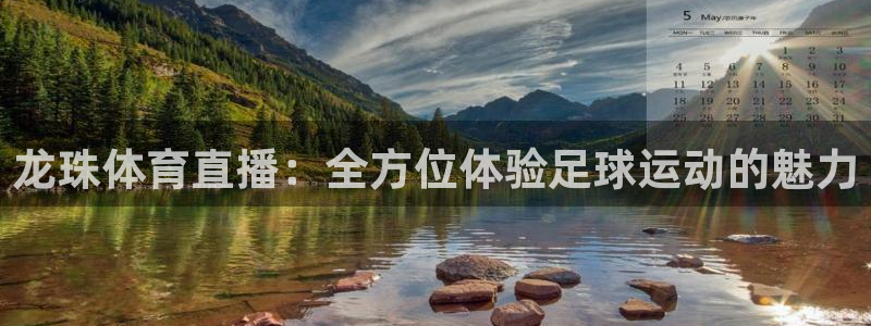 龙珠体育直播：全方位体验足球运动的魅力