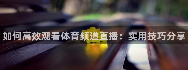 如何高效观看体育频道直播：实用技巧分享