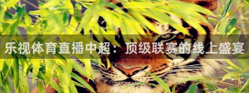 乐视体育直播中超：顶级联赛的线上盛宴