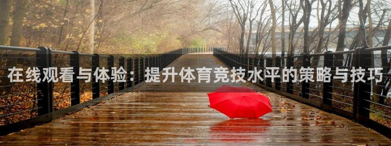 在线观看与体验：提升体育竞技水平的策略与技巧