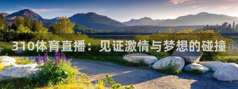 310体育直播：见证激情与梦想的碰撞