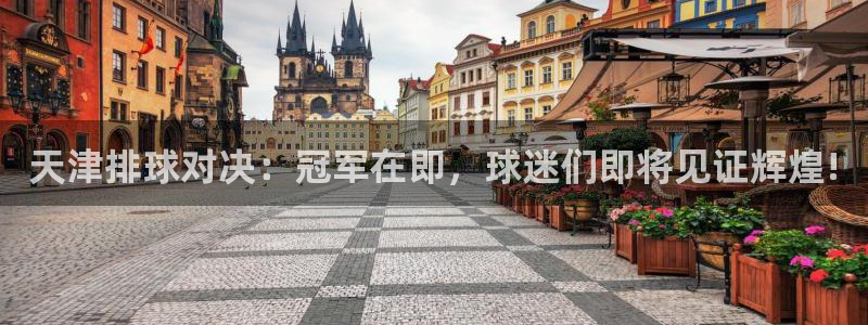 天津排球对决：冠军在即，球迷们即将见证辉煌!
