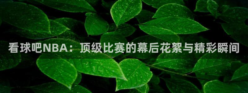 看球吧NBA：顶级比赛的幕后花絮与精彩瞬间